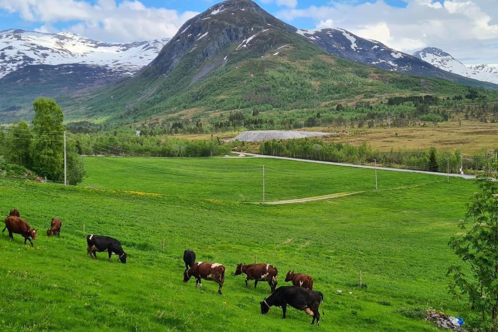 Among The Pearls Of Norway Holiday home