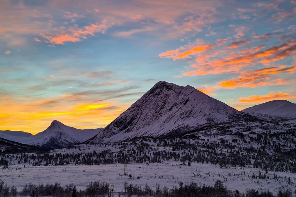 Among The Pearls Of Norway *