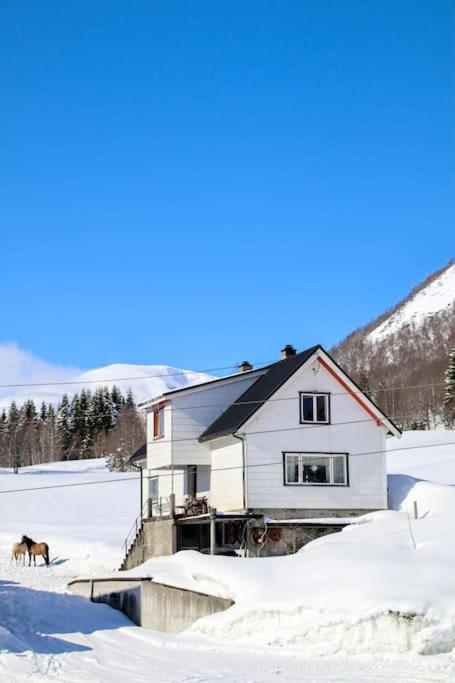 Among The Pearls Of Norway *