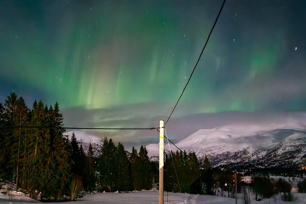Among The Pearls Of Norway