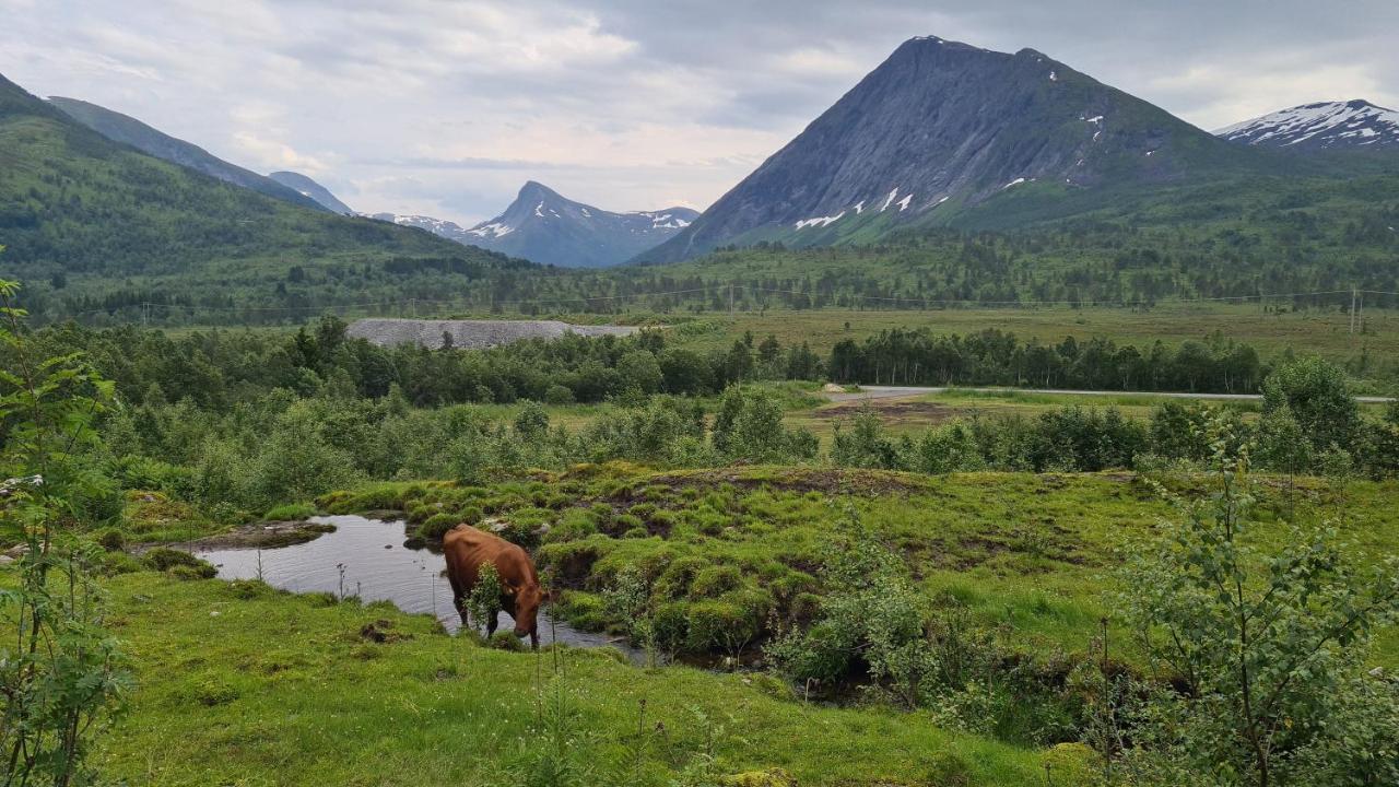 Among The Pearls Of Norway Holiday home