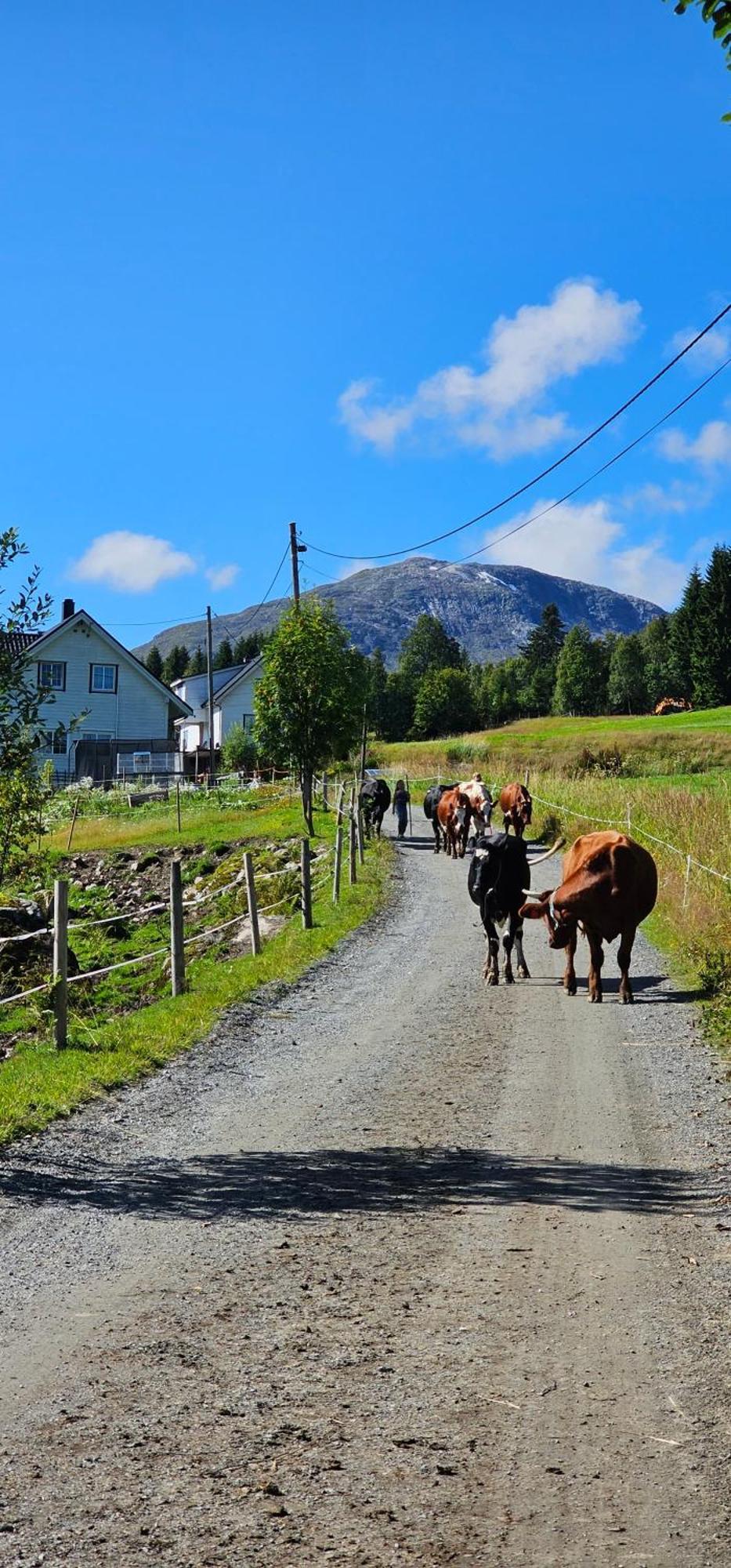 Among The Pearls Of Norway Holiday home *