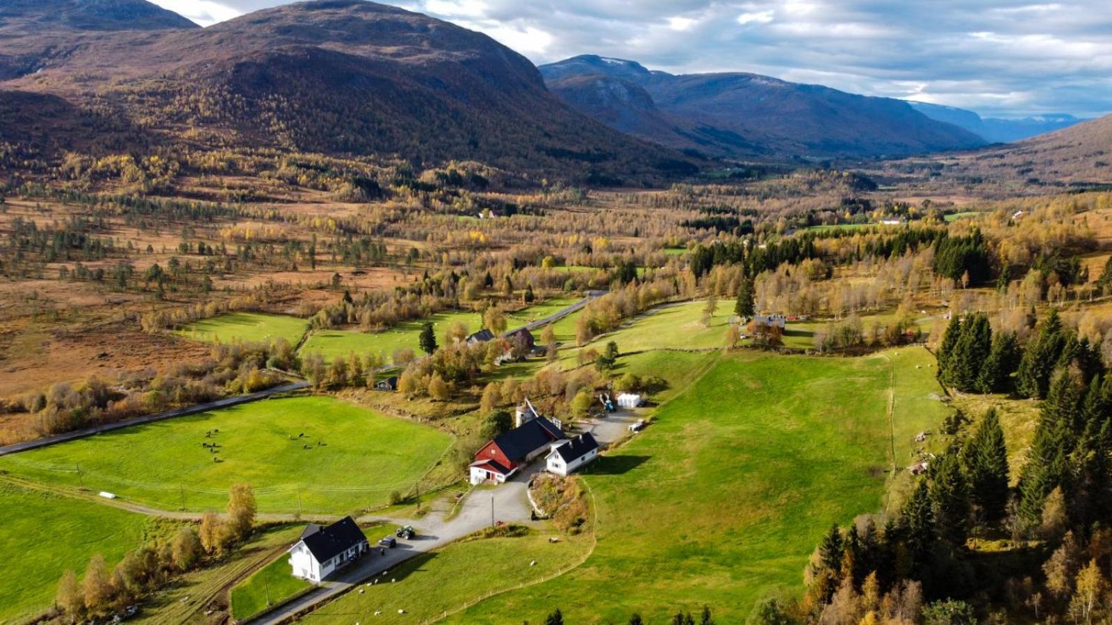 Among The Pearls Of Norway Holiday home